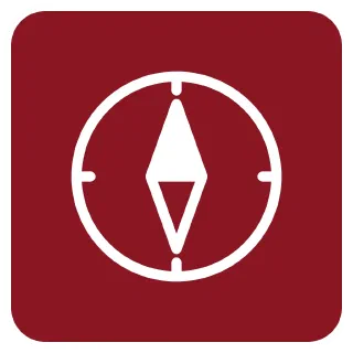AI Strategy